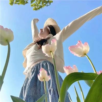 猫和老鼠:海盗寻宝